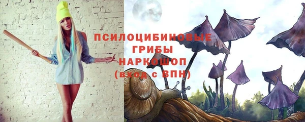 ECSTASY Михайловка